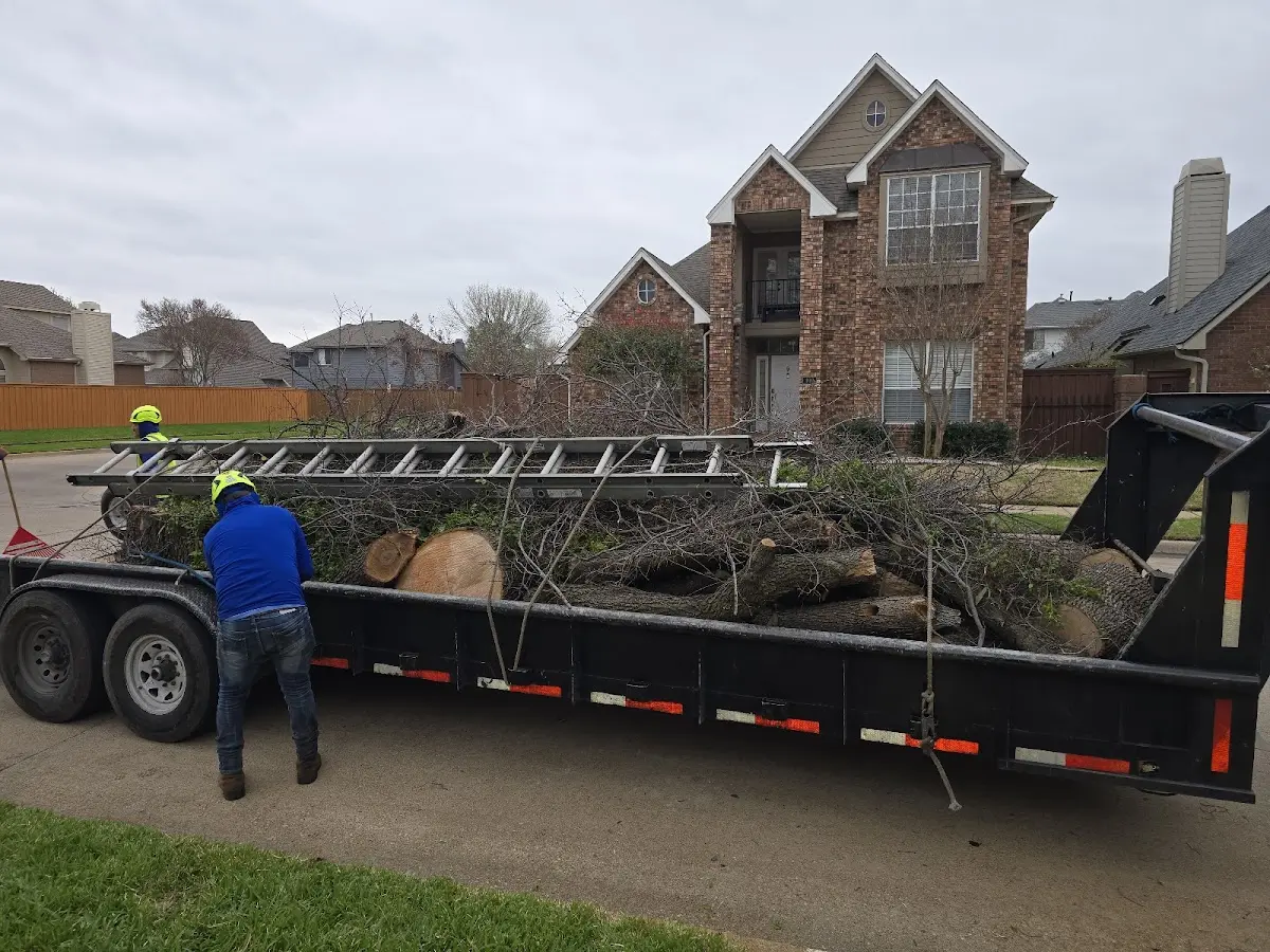 Expert Tree Fertilization with proper safety equipment in Hewitt